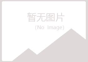 灵山县从彤服务有限公司